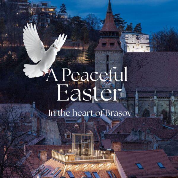 V13 — Hotel Schuster Brașov