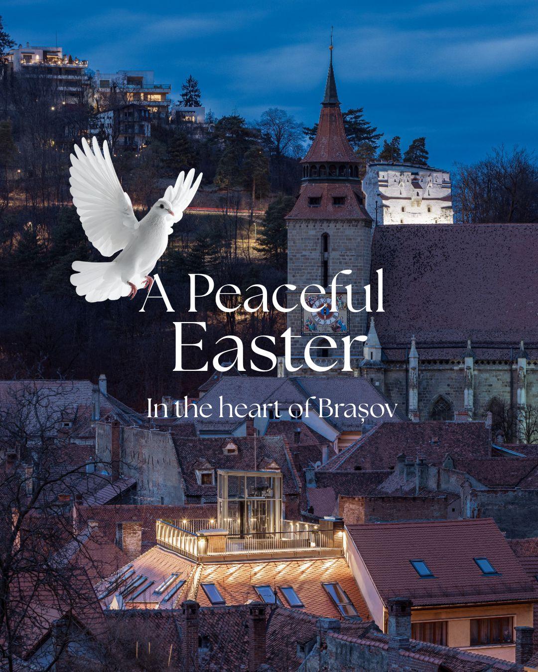 V13 — Hotel Schuster Brașov
